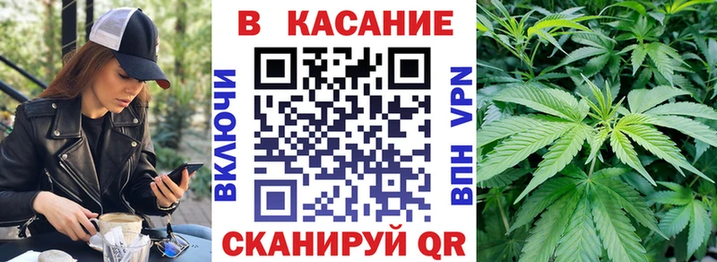 МЕФ Великие Луки