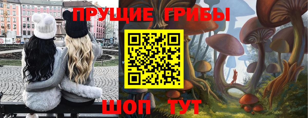 Псилоцибиновые грибы мицелий Великие Луки